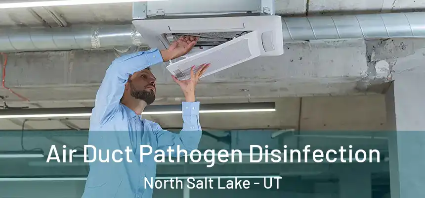  Air Duct Pathogen Disinfection North Salt Lake - UT