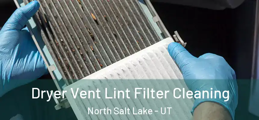  Dryer Vent Lint Filter Cleaning North Salt Lake - UT
