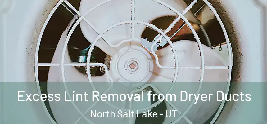  Excess Lint Removal from Dryer Ducts North Salt Lake - UT