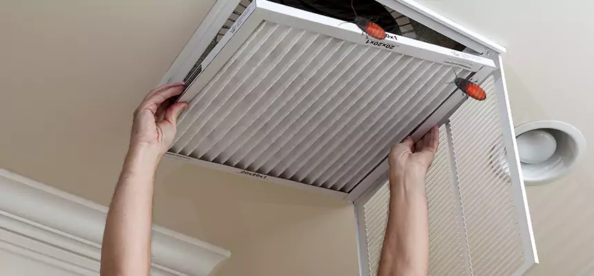 Preventive Cockroach-Proofing for Ducts in North Salt Lake