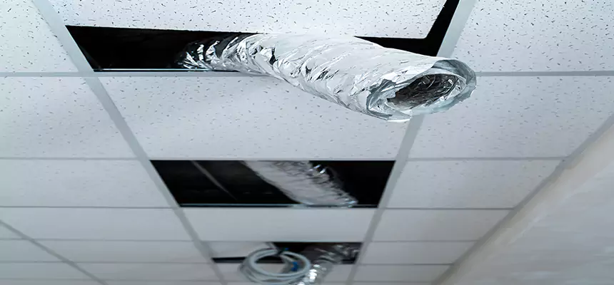 Our Air Duct Pet Hair Removal Services in North Salt Lake, UT