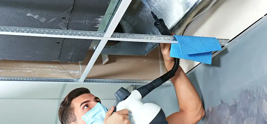 Our Air Duct Rodent Removal Services in North Salt Lake, UT