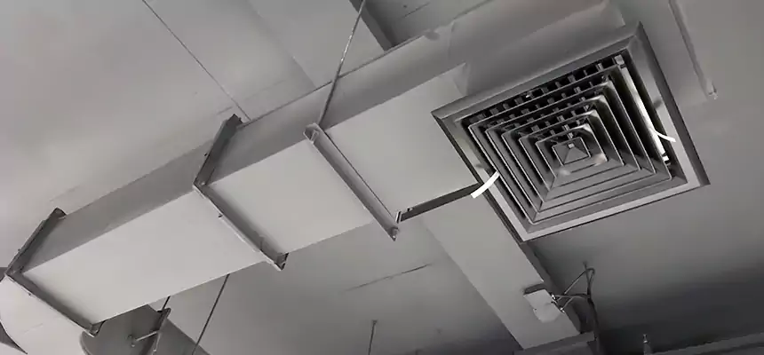 Restorative Allergy Relief Vent Cleaning – Coil, Blower & Housing Detail in North Salt Lake