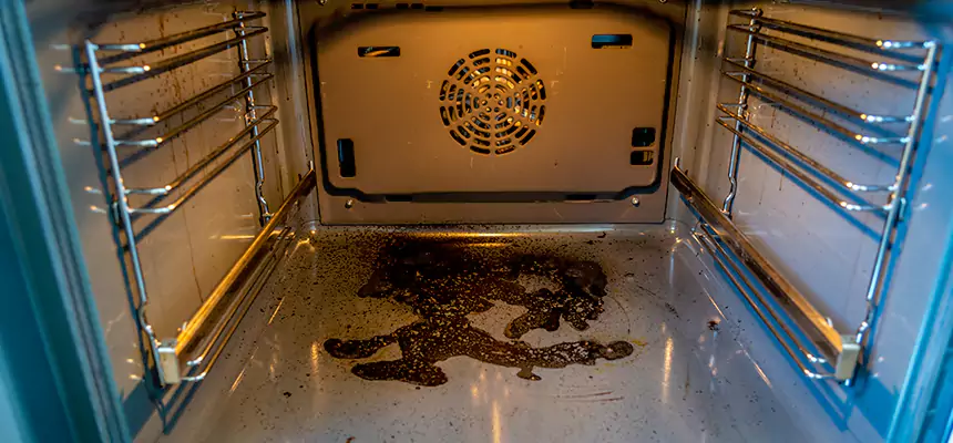 Our Dryer Vent Mold Cleaning Services in North Salt Lake, UT