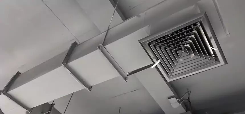 Our Pest Removal From Ducts Services in North Salt Lake, UT