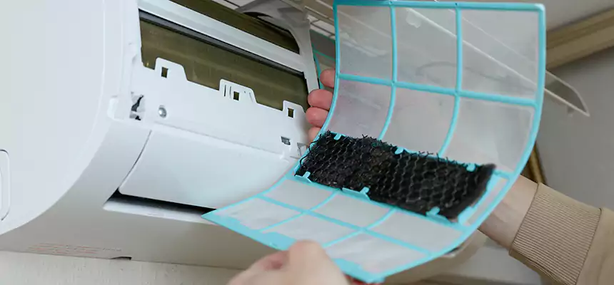 Gentle Ductwork Odor-Control Pet Dander Duct Cleaning in North Salt Lake, UT