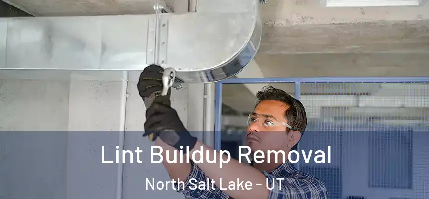 Lint Buildup Removal North Salt Lake - UT