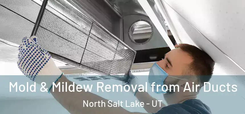  Mold & Mildew Removal from Air Ducts North Salt Lake - UT