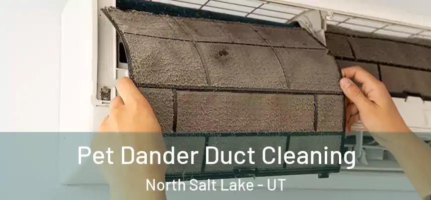  Pet Dander Duct Cleaning North Salt Lake - UT