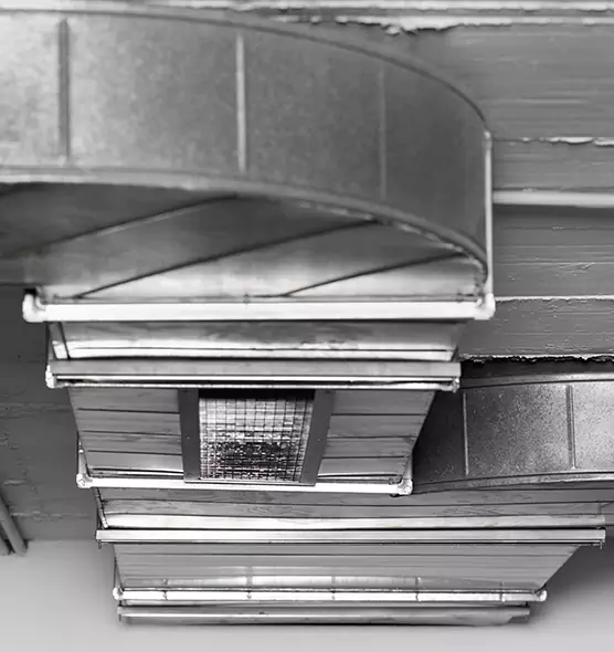 Professional Air Duct Pet Hair Removal in North Salt Lake, UT