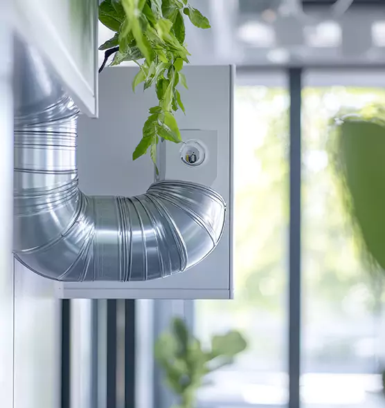 Professional Eco-Safe Dryer Vent Cleaning in North Salt Lake, UT