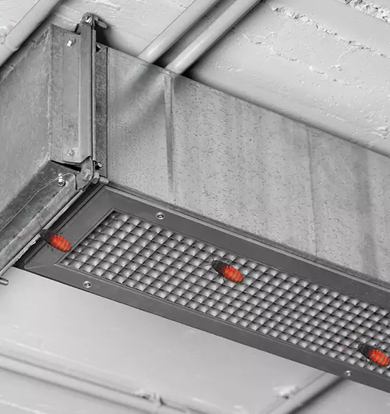 Affordable Insect Removal from Air Ducts in North Salt Lake, UT