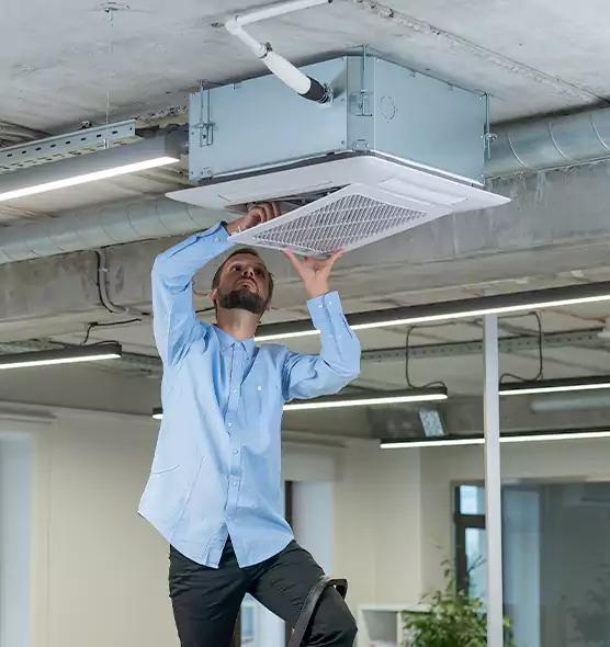 Advanced Rodent Droppings In Vents in North Salt Lake, UT