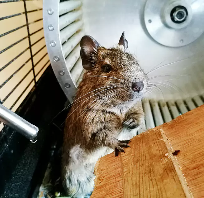 Why Homeowners & Businesses Trust Us North Salt Lake, UT?